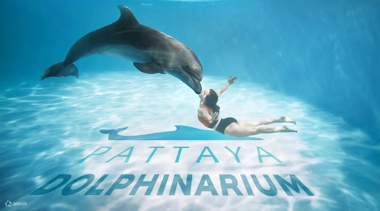 Dolphinarium Pattaya