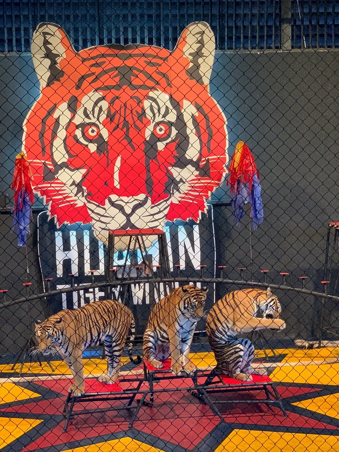 Hua Hin Safari & Adventure Park Ticket