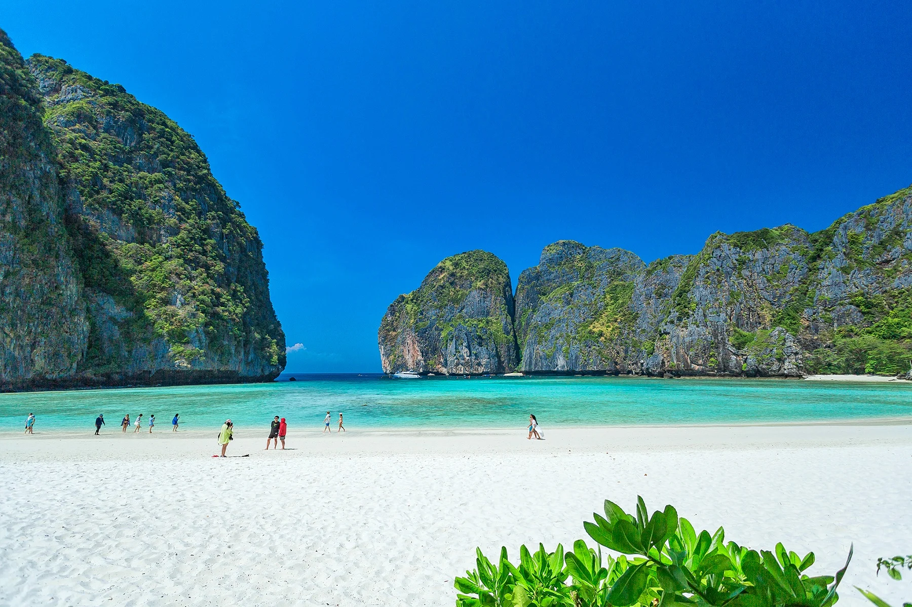 Walking at Maya Bay Phi Phi island tour