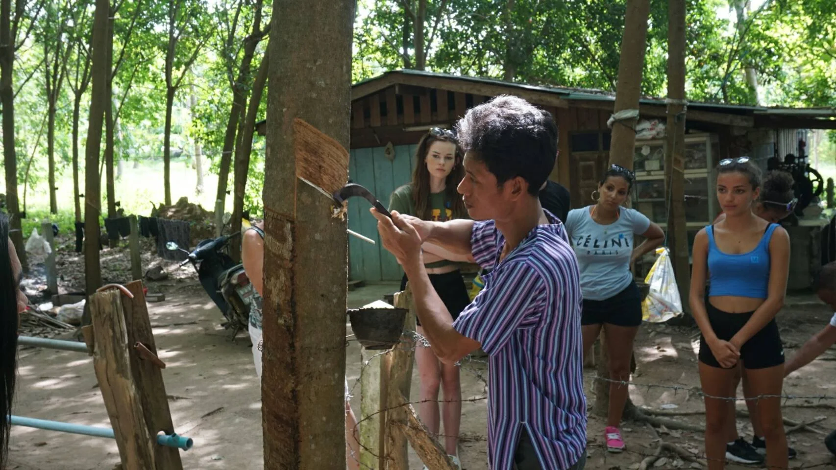 Rubber Plantation Jungle Discovery Tour Samui