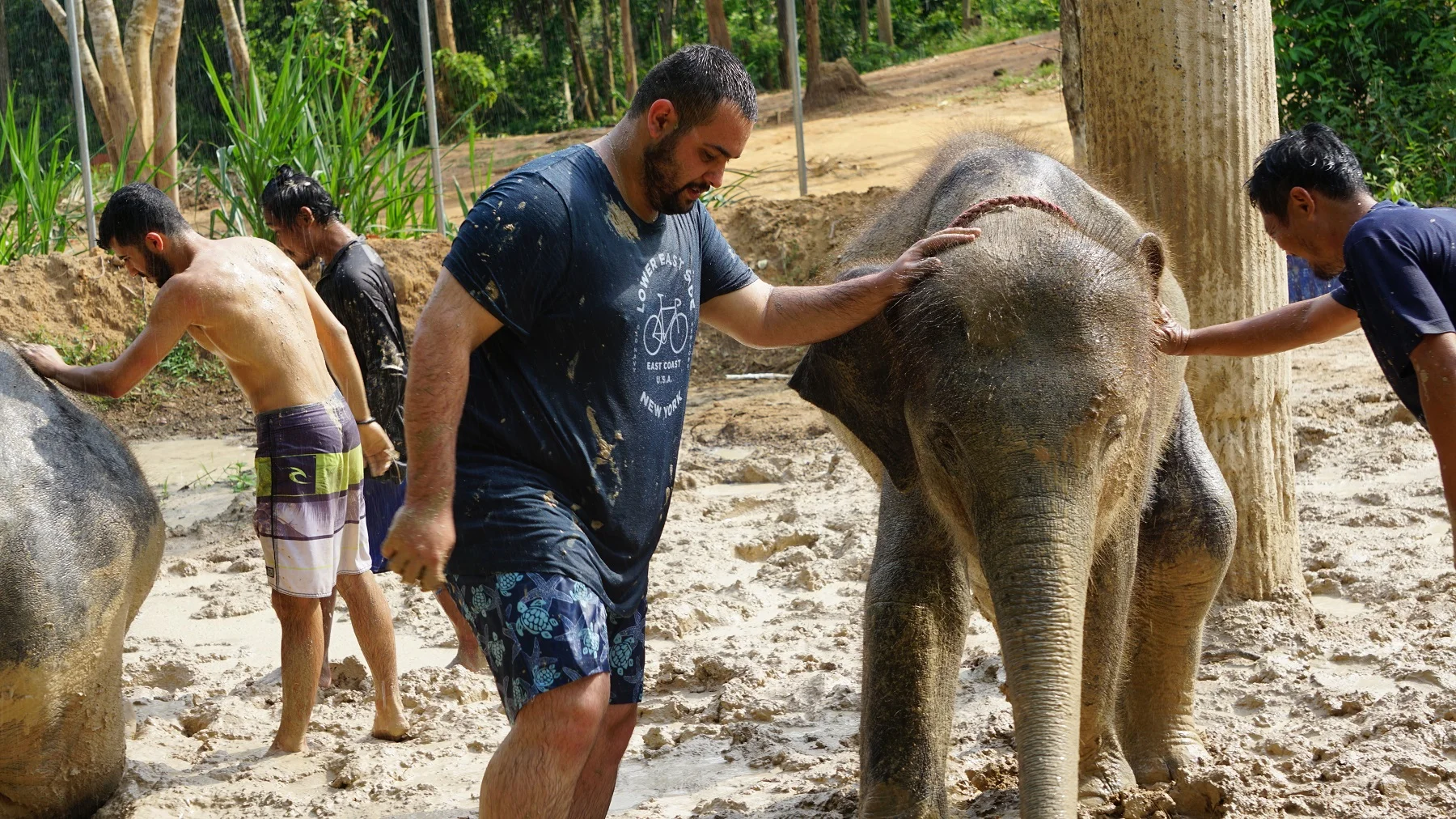Samui Elephant Mud Spa